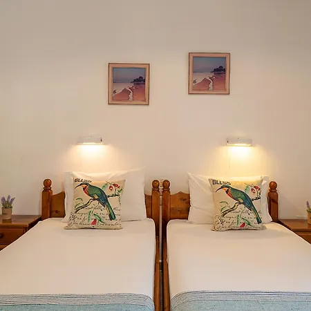 Apartman Xenofontas