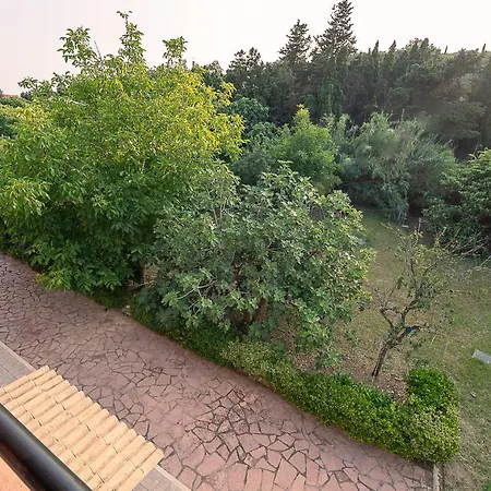 Xenofontas Διαμέρισμα Άγιος Γεώργιος Πάγων