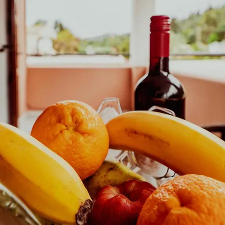 Xenofontas Апартаменты Агиос-Георгиос-Пагон