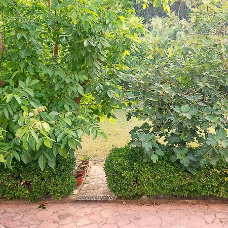 Xenofontas Агиос-Георгиос-Пагон